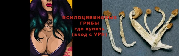 apvp Тобольск